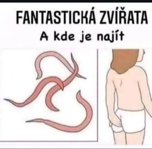 Nechutný humor